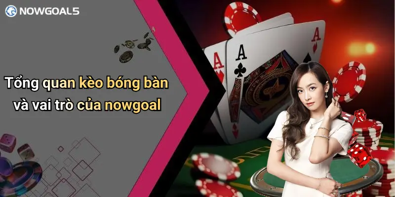 Tổng quan kèo bóng bàn và vai trò của nowgoal