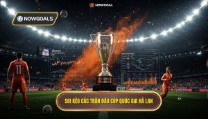 Soi kèo các trận đấu cúp quốc gia Hà Lan