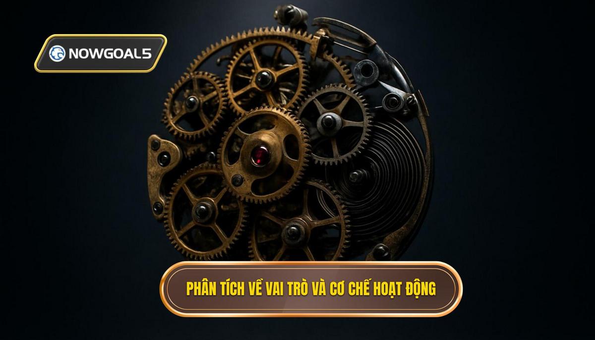Phân Tích Chuyên Sâu Về Vai Trò và Cơ Chế Hoạt Động