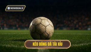 kèo bóng đá tài xỉu