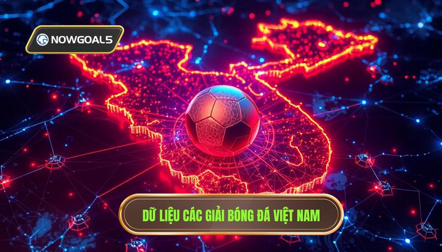 Sức Hút Của Các Giải Đấu Bóng Đá Việt Nam Trên Bản Đồ Dữ Liệu